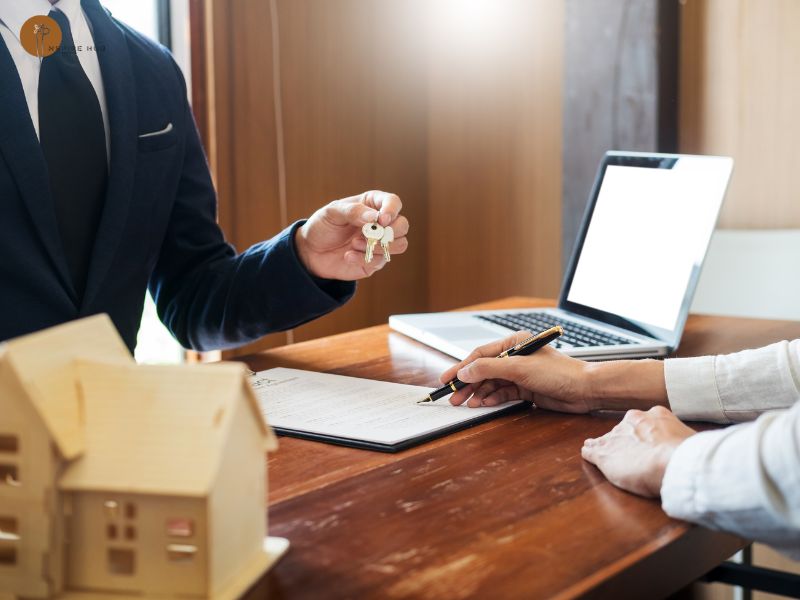 Lập hợp đồng thuê văn phòng